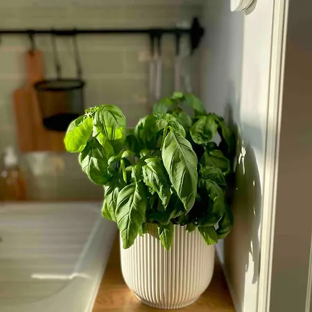 Daire Wonderful Sea View On The Port Balcony S-o *